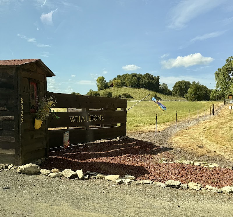 Whalebone Vineyard photo 5