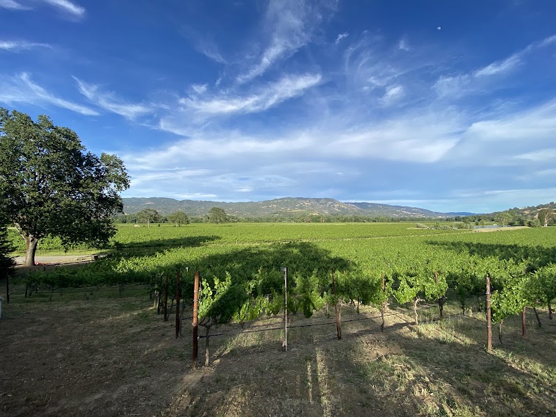 RIVINO Winery photo 4