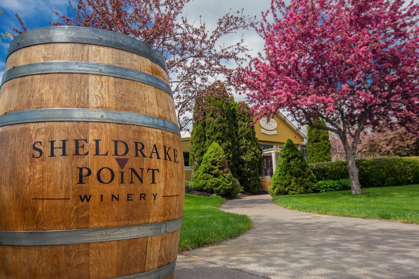 Sheldrake Point Winery photo 1