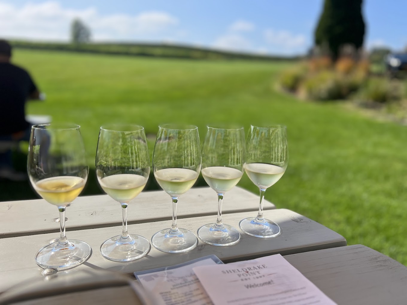 Sheldrake Point Winery photo 6