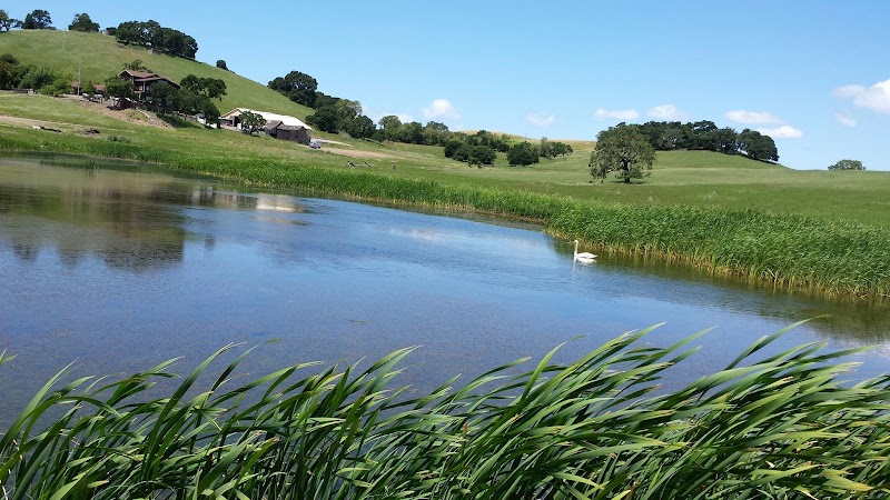 Reis River Ranch Winery photo 1