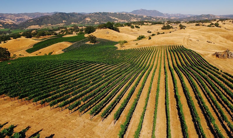 Jordan Vineyard & Winery photo 6