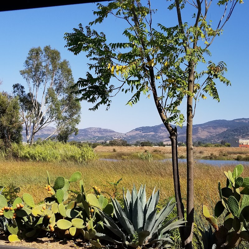 Vinoce Vineyards photo 1
