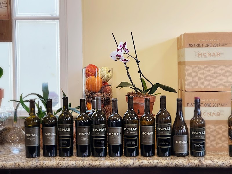 McNab Ridge Winery Tasting Room photo 5