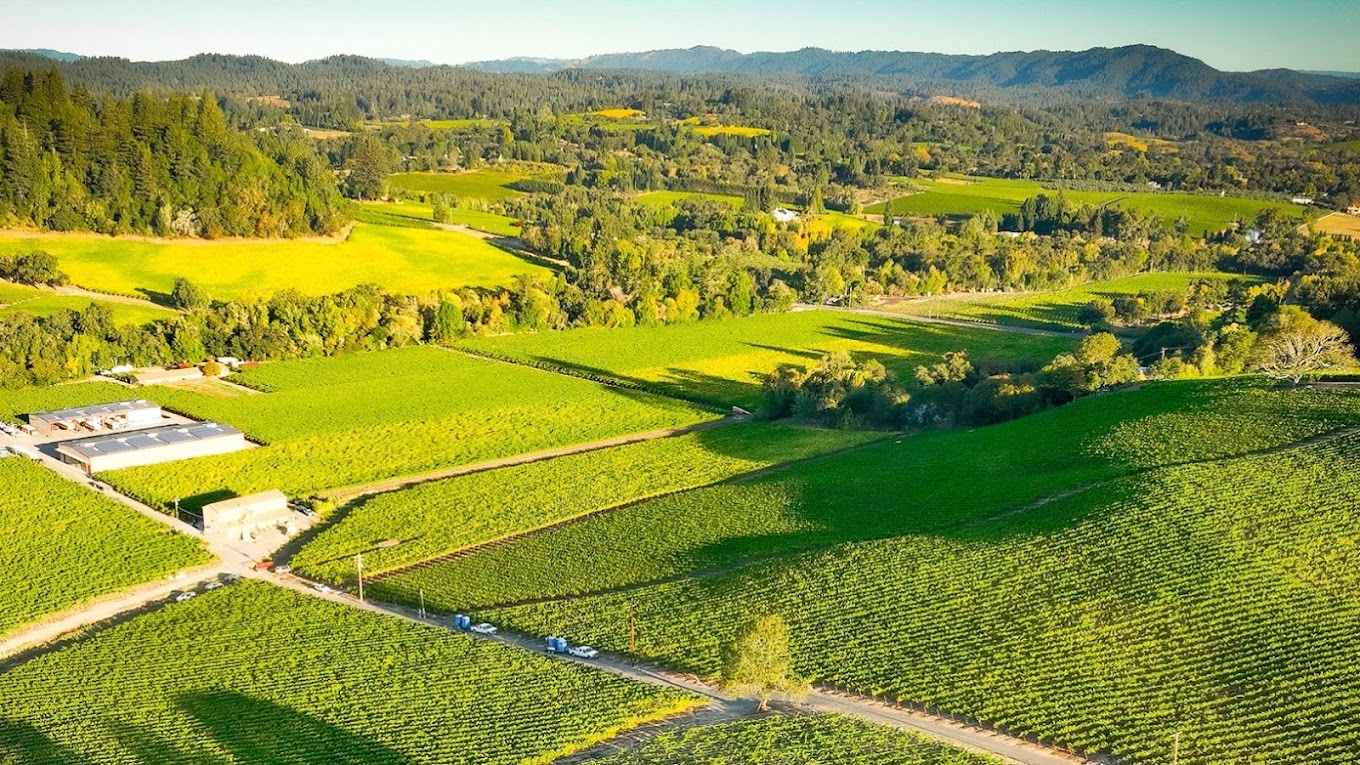 Dutton-Goldfield Winery photo 1