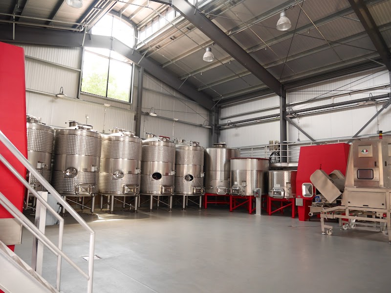 B Cellars photo 5