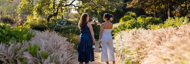 Matanzas Creek Winery photo 1