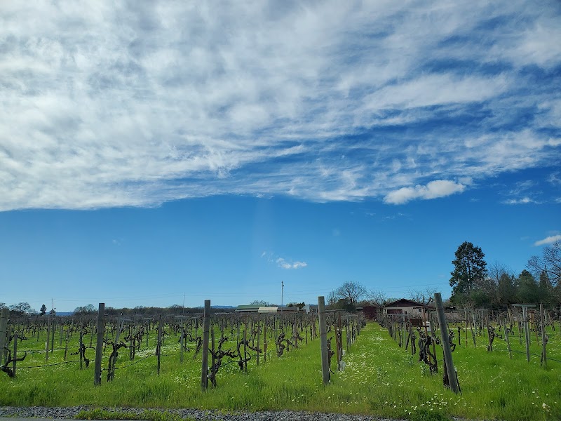 Croix Estate Winery photo 4