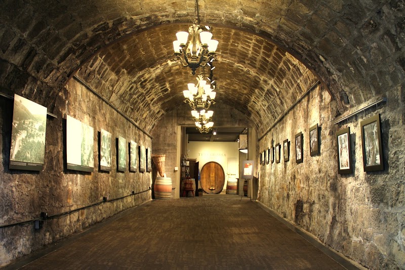 Testarossa Winery photo 1