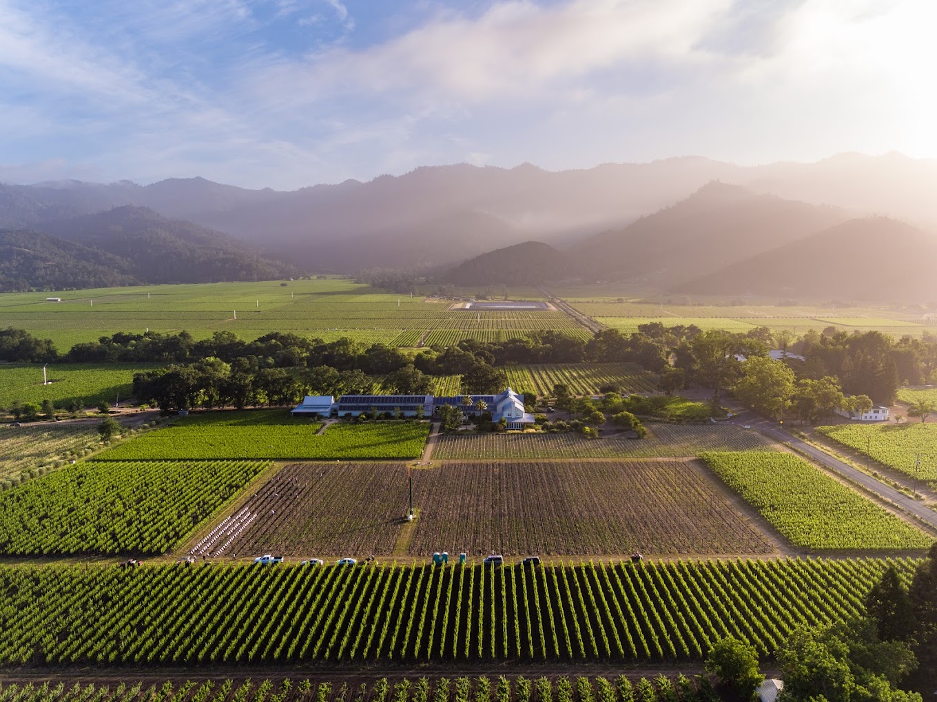 Larkmead Vineyards photo 1