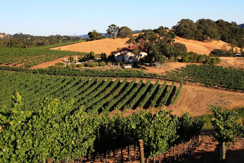William Gordon Winery & William Gregory Winery photo 1