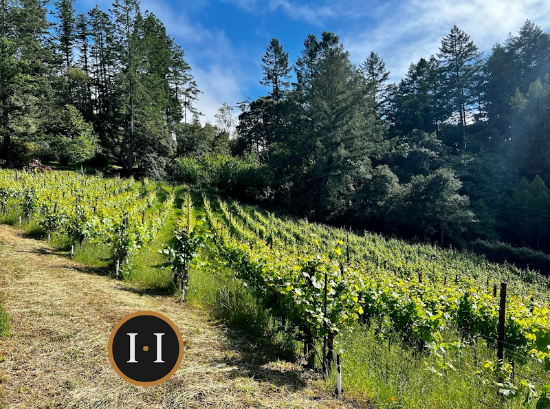 Halleck Vineyard Estate Winery & Wine Tasting Room photo 1