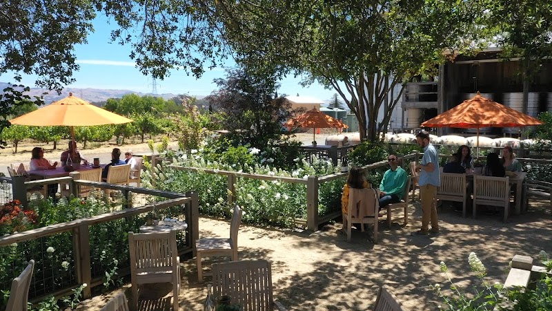 Saintsbury Winery photo 4