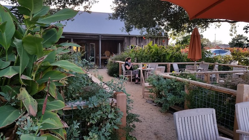 Saintsbury Winery photo 5