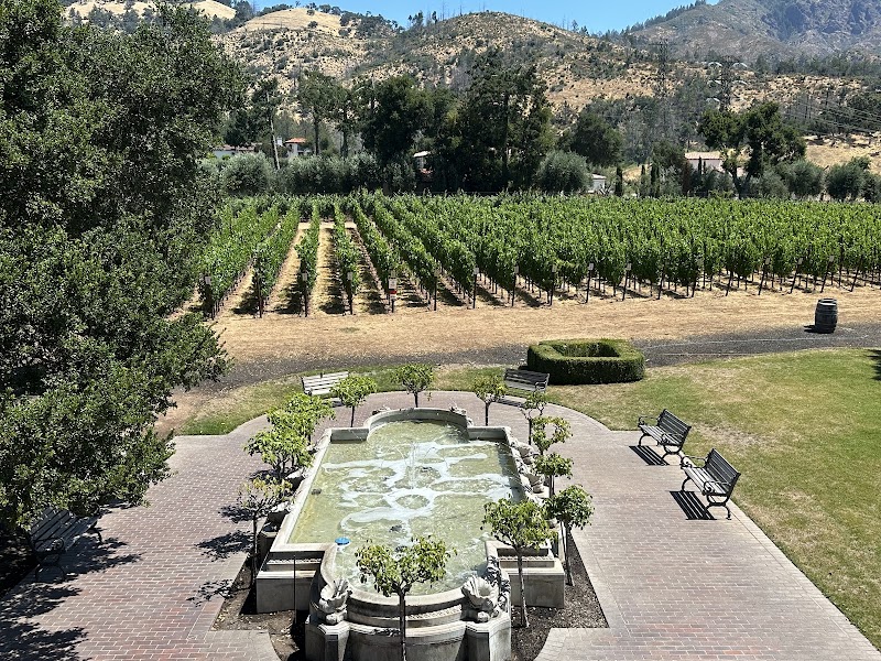 Ledson Winery & Vineyards photo 5