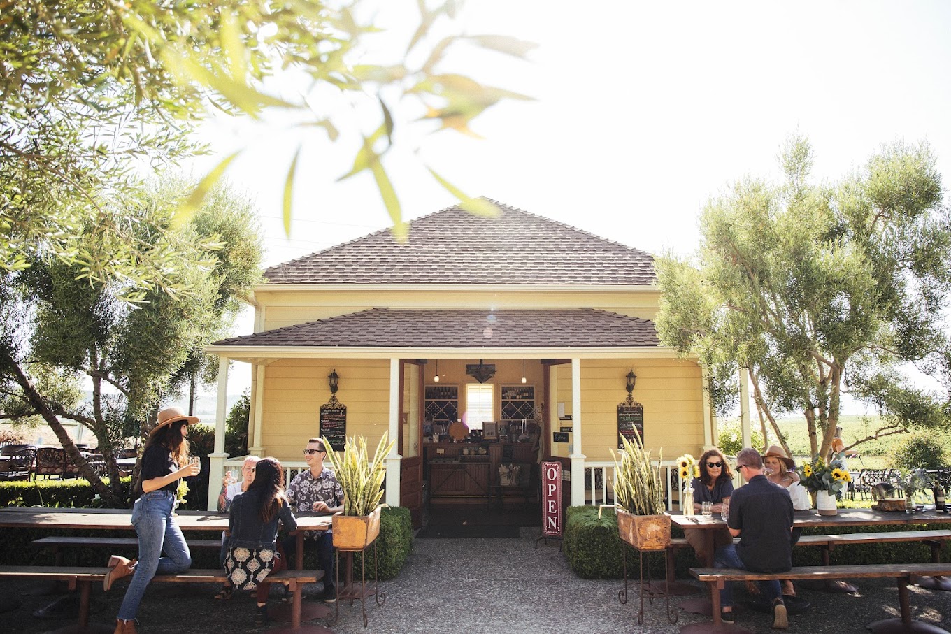Baileyana, True Myth, & Tangent Tasting Room photo 1