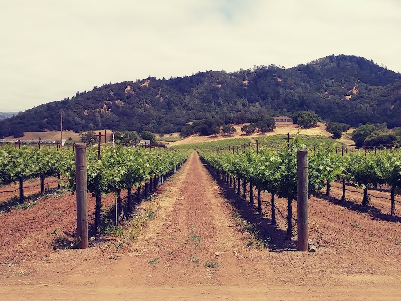 Soda Rock Winery photo 5
