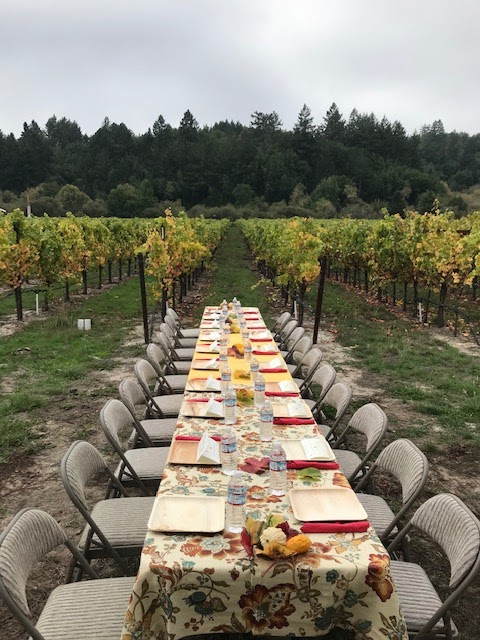 Paul Mathew Vineyards photo 5