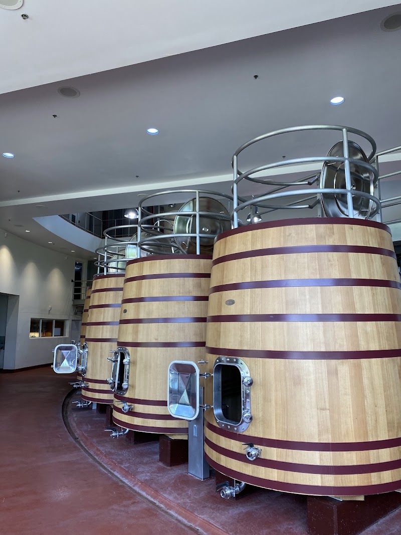 Vineyard 29 photo 1