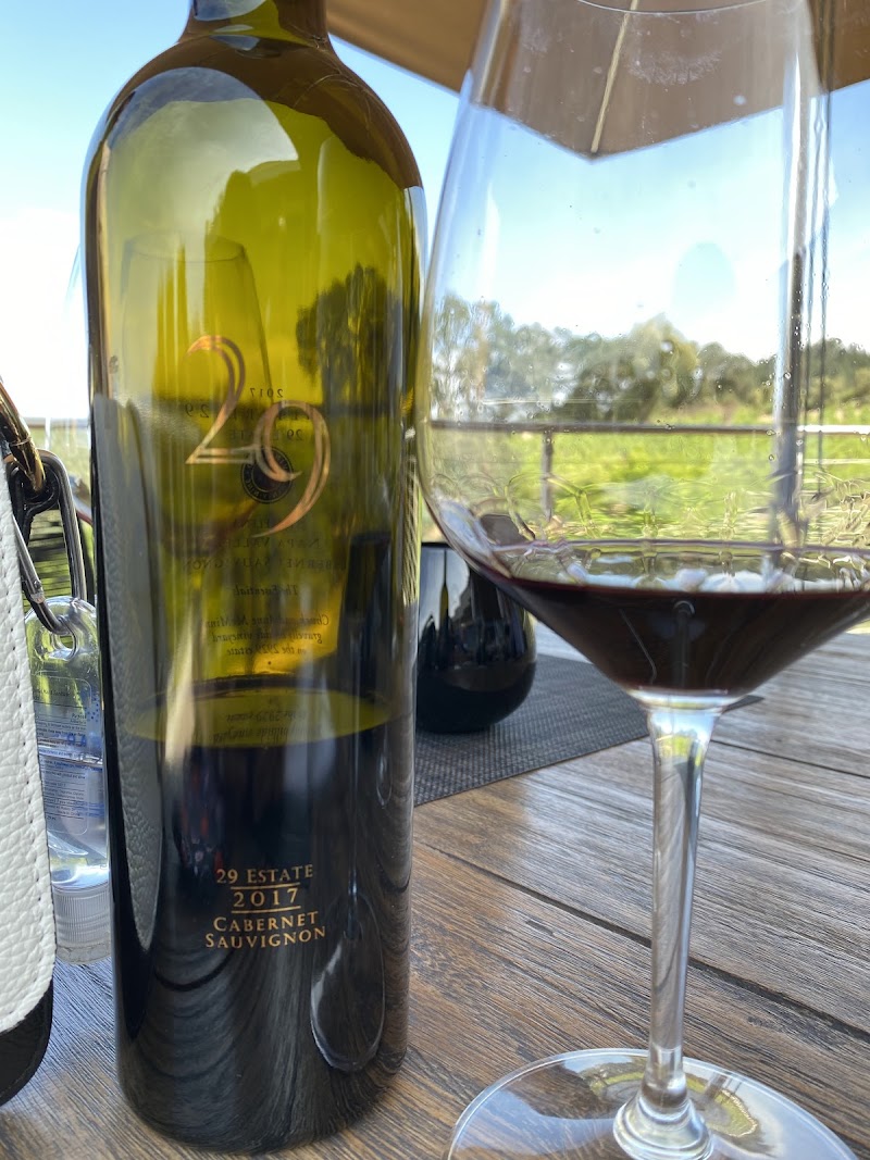 Vineyard 29 photo 5