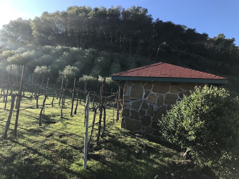 M.S Torun Winery and Ranch photo 4