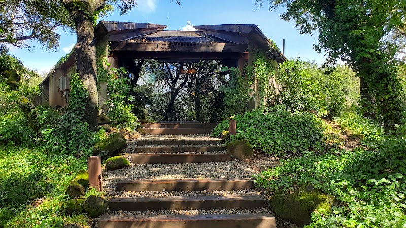 Chappellet Winery photo 4