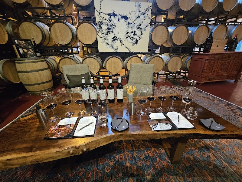 Chappellet Winery photo 5