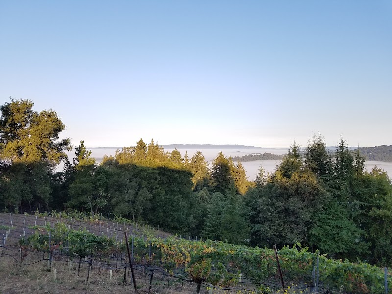 Silver Mountain Vineyards photo 1