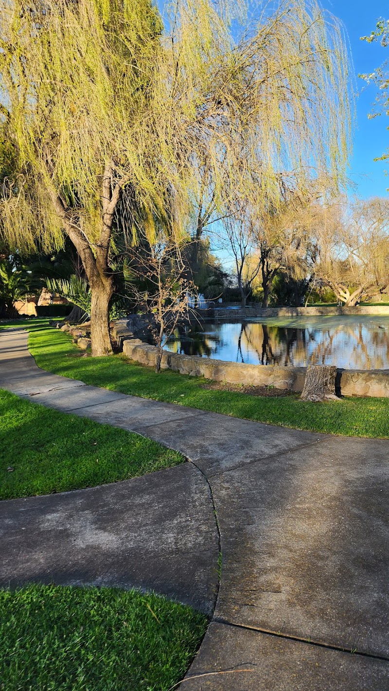 Cline Family Cellars photo 5