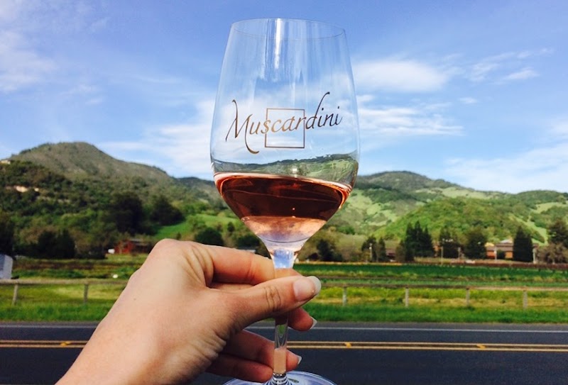 Muscardini Cellars photo 5