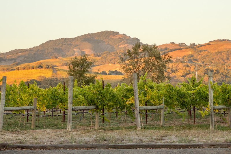 Loxton Cellars photo 1
