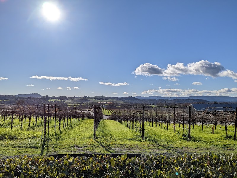 Silver Oak Alexander Valley photo 4