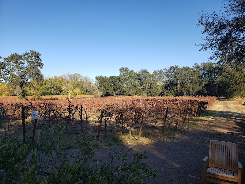 Gracianna Winery photo 4