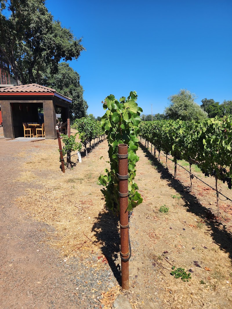 Gracianna Winery photo 5