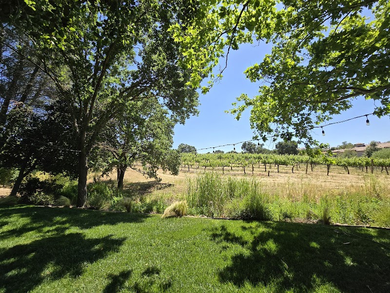 Fenestra Winery photo 4