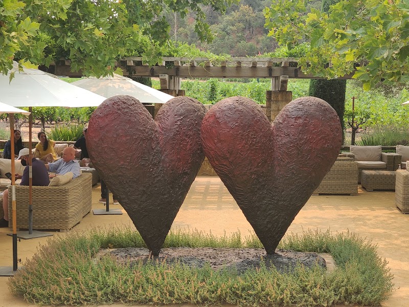 Cliff Lede Vineyards photo 6