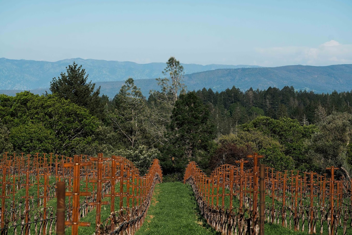 Dunn Vineyards photo 1