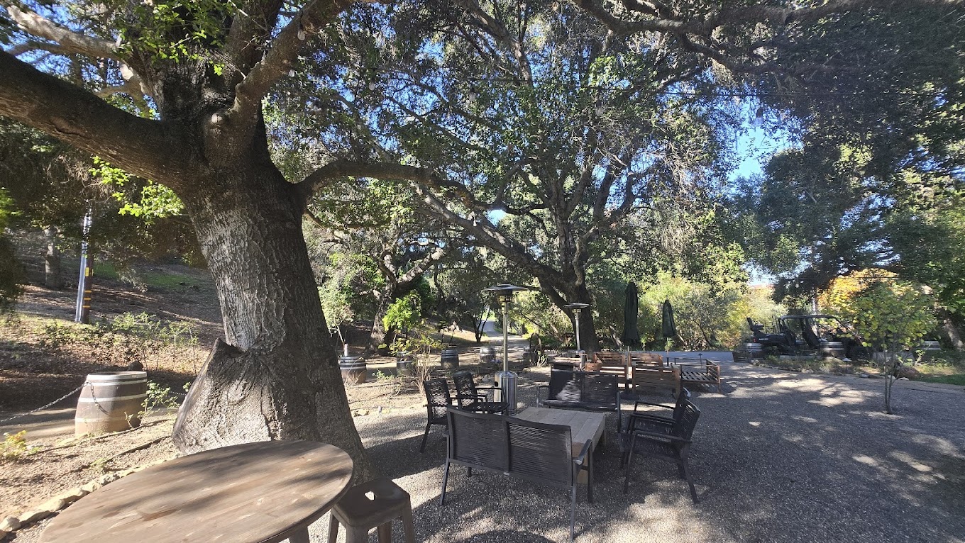 Alma Rosa Winery photo 5