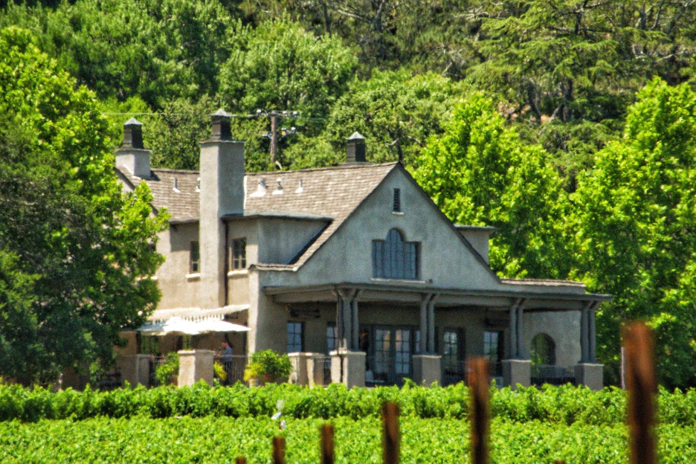 Staglin Family Vineyard photo 1