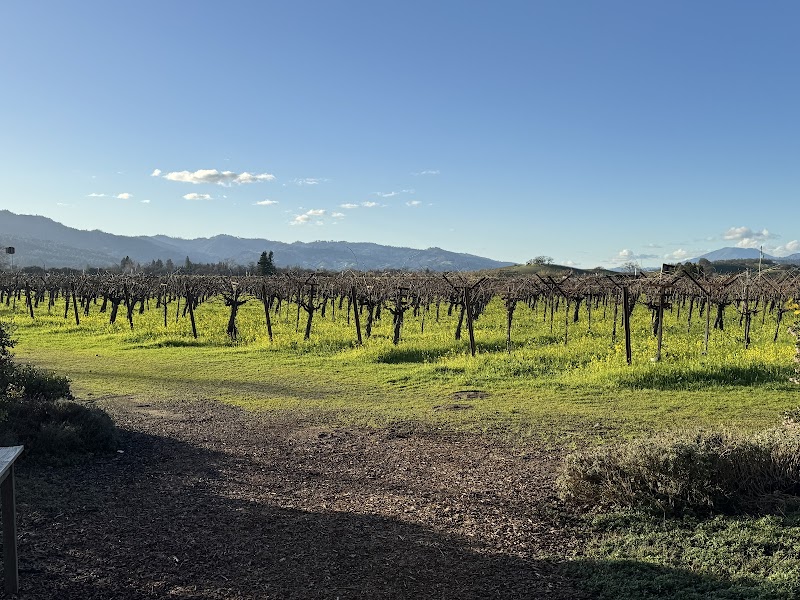 Frog's Leap Winery photo 4