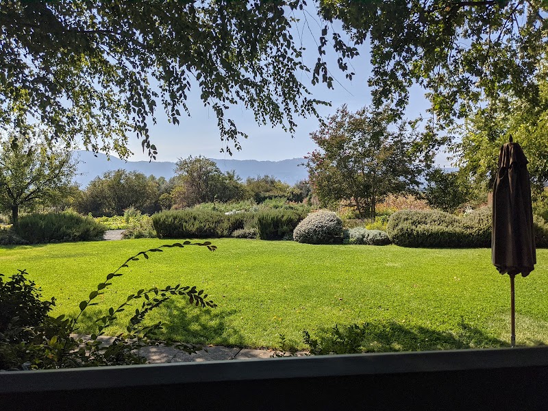 Frog's Leap Winery photo 5