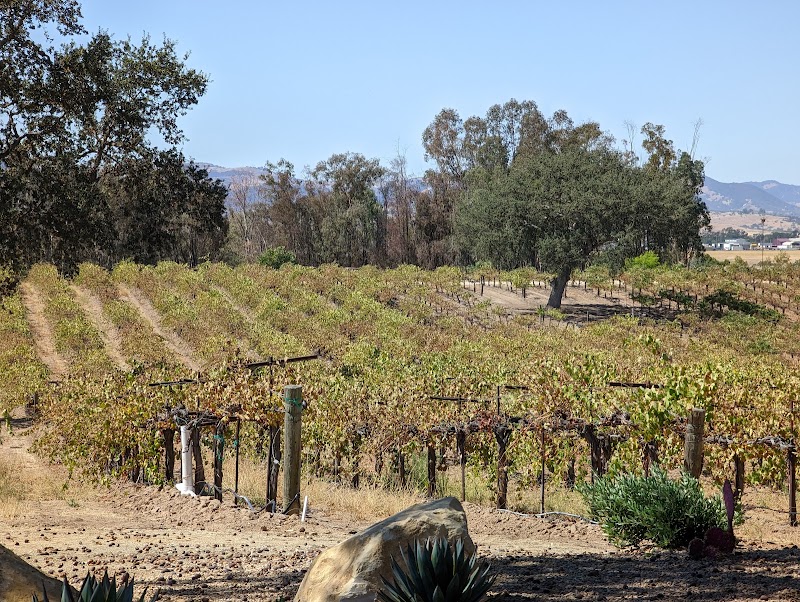 Robert Hall Winery photo 4