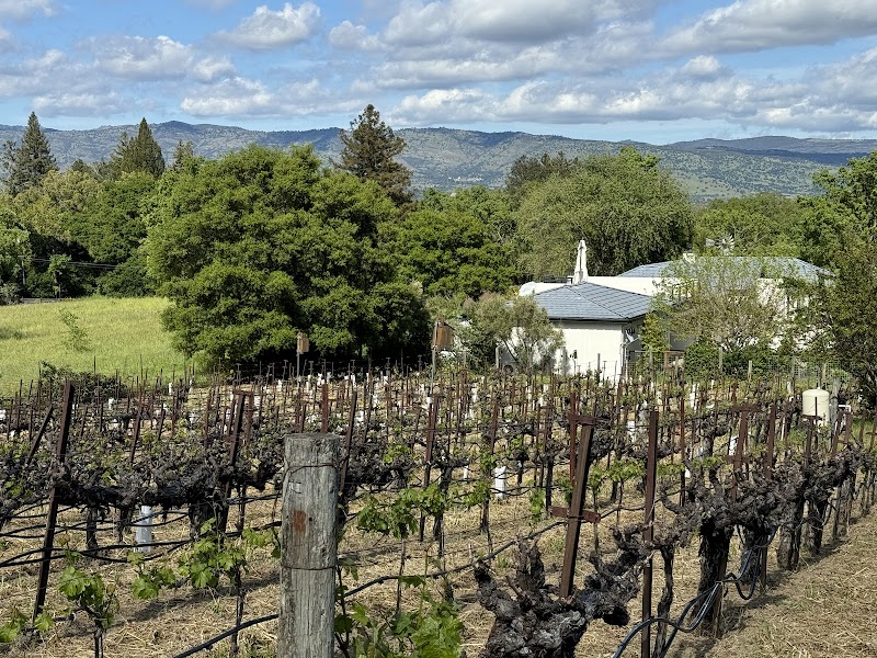Matthiasson Winery photo 5
