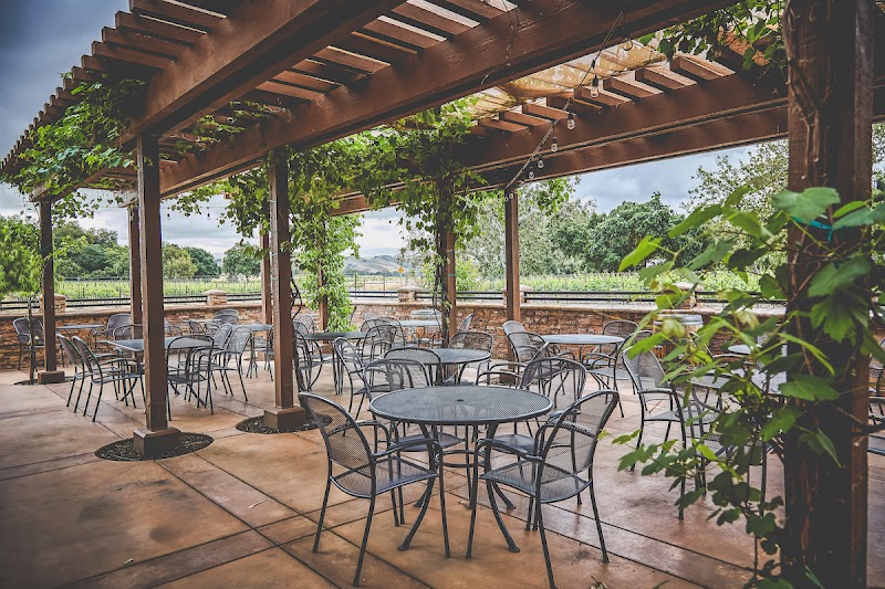 Dante Robere Vineyards photo 4