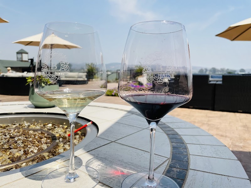 Bouchaine Vineyards photo 5