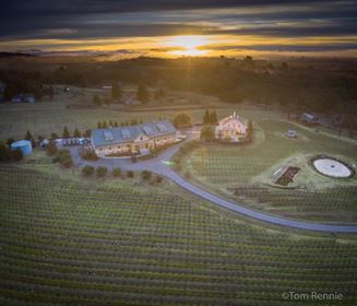 Merriam Vineyards photo 1