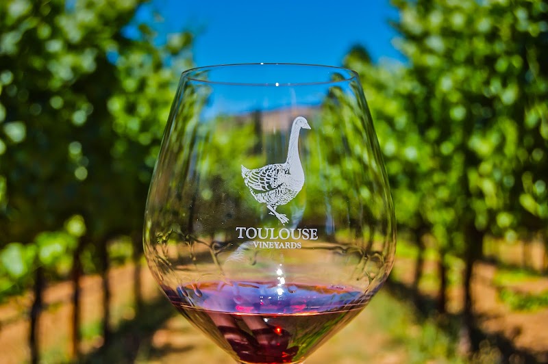 Toulouse Vineyards & Winery photo 1