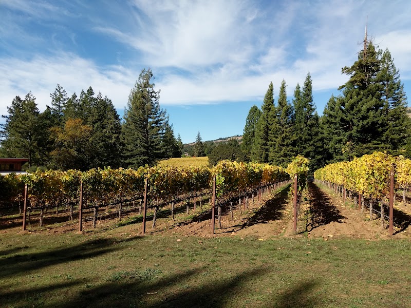 Toulouse Vineyards & Winery photo 4