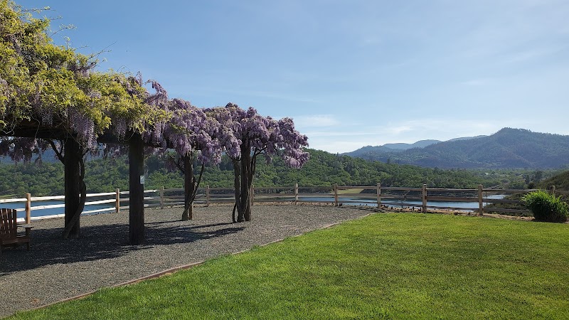 Langtry Farms Vineyard & Winery photo 4