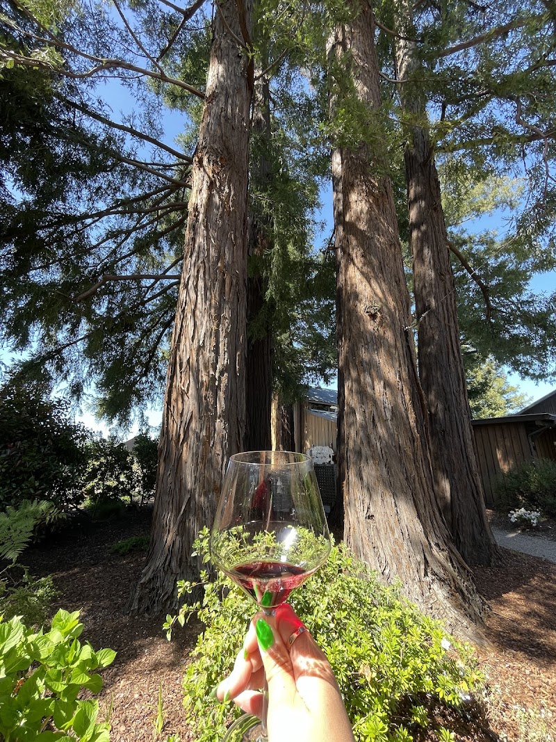 Sequoia Grove Winery photo 1